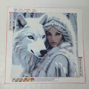Diamond Art Completed Painting Unisex 16x16 Blue Wolf Princess Fantasy ZSH1177